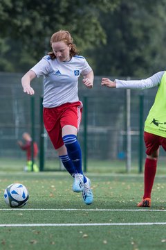 Bild 291 - C-Juniorinnen HSV - Walddoerfer : Ergebnis: 9:1